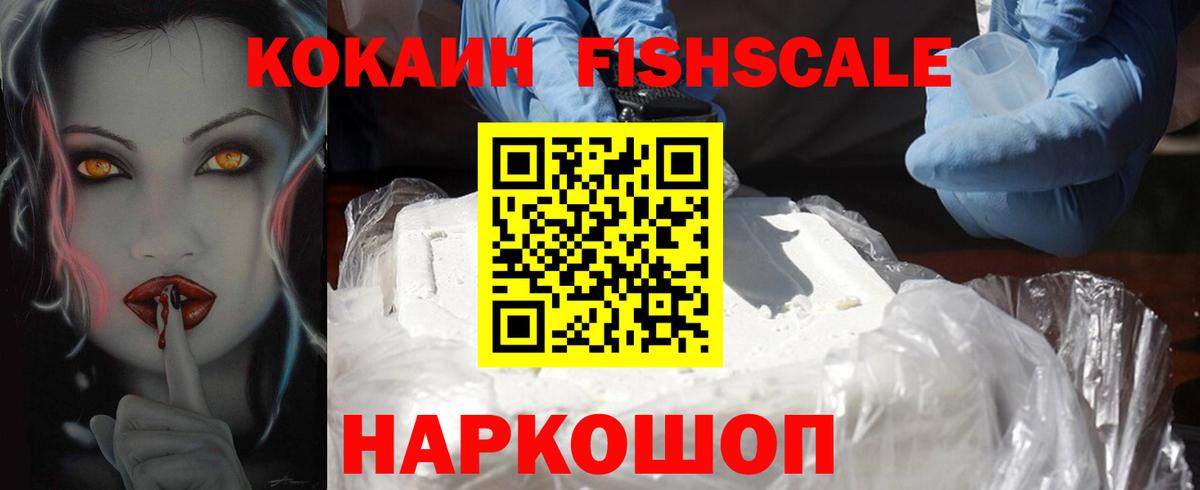 COCAIN Fish Scale  КОКАИН  Майский  Вход с VPN  COCAIN Columbia 