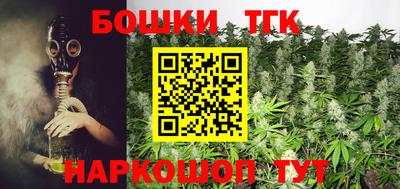 крисы Дубна