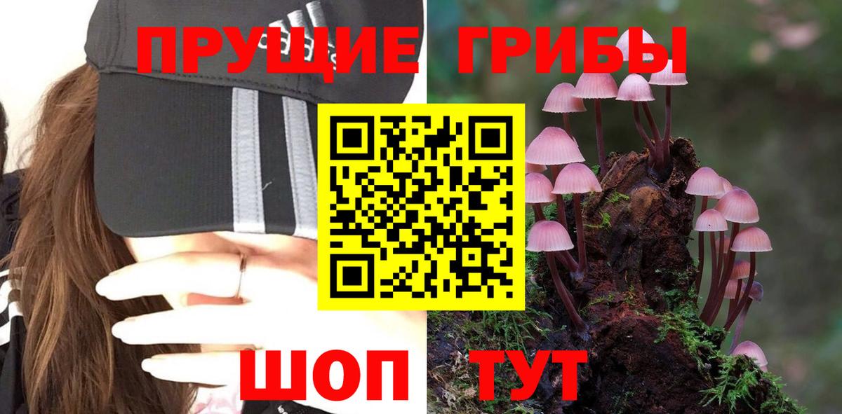 Псилоцибиновые грибы MAGIC MUSHROOMS Майский