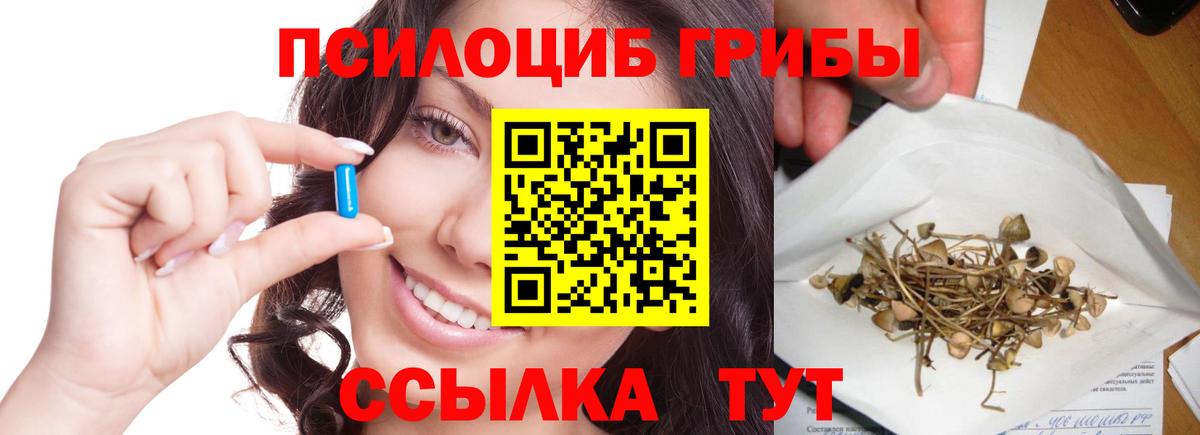 Псилоцибиновые грибы Psilocybe  Псилоцибиновые грибы ЛСД  Майский  закладка  Вход с VPN 
